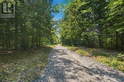 Lot 26 Louisa Street, Parry Sound, Ontario  P2A 3B9 - Photo 18 - X13679738