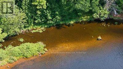Lot 26 Louisa Street, Parry Sound, Ontario  P2A 3B9 - Photo 4 - X13679738