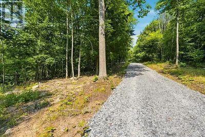 Lot 26 Louisa Street, Parry Sound, Ontario  P2A 3B9 - Photo 5 - X13679738