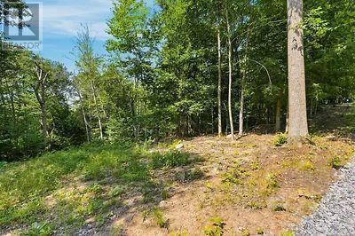 Lot 26 Louisa Street, Parry Sound, Ontario  P2A 3B9 - Photo 6 - X13679738