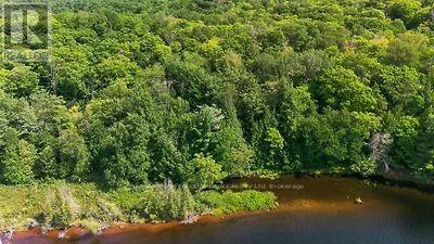 Lot 26 Louisa Street, Parry Sound, Ontario  P2A 3B9 - Photo 9 - X13679738