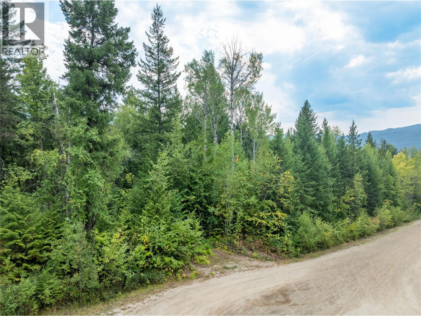 8588 Black Mountain Road, Chase, British Columbia  V0E 1M0 - Photo 3 - 10397053
