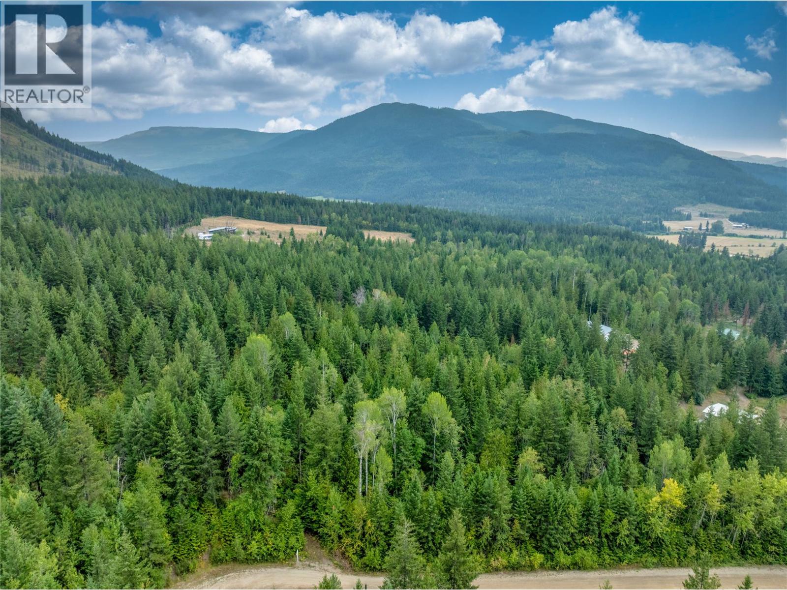 8588 Black Mountain Road, Chase, British Columbia  V0E 1M0 - Photo 4 - 10397053