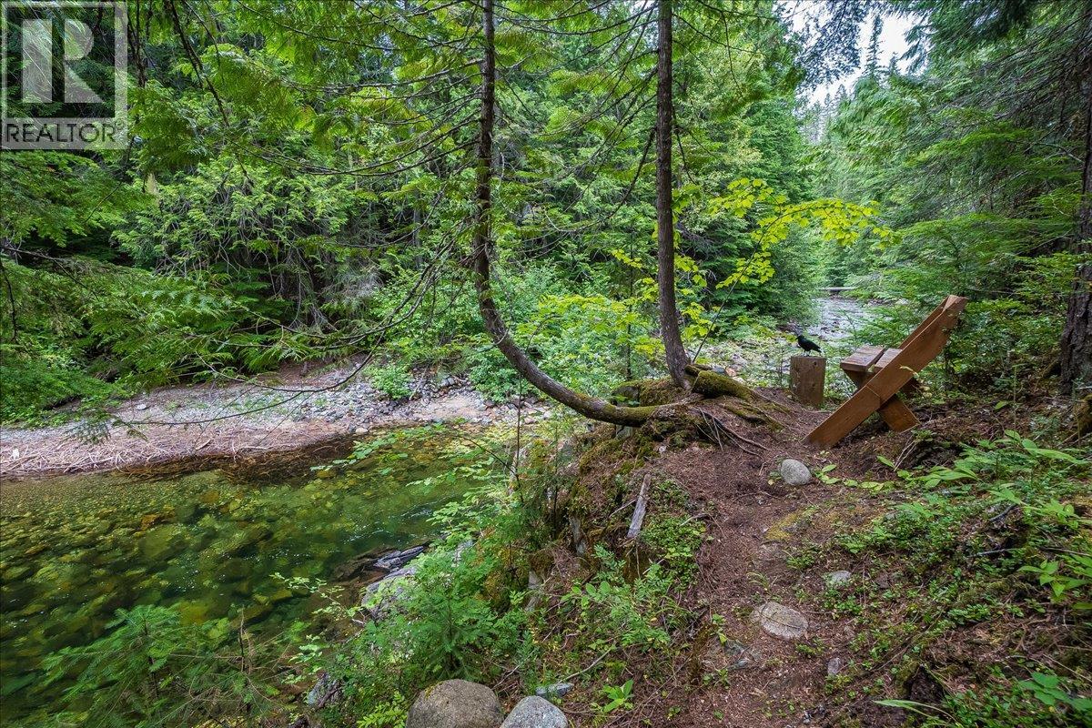 550 2nd Relief Road, Salmo, British Columbia  V0G 1Z0 - Photo 46 - 10395164