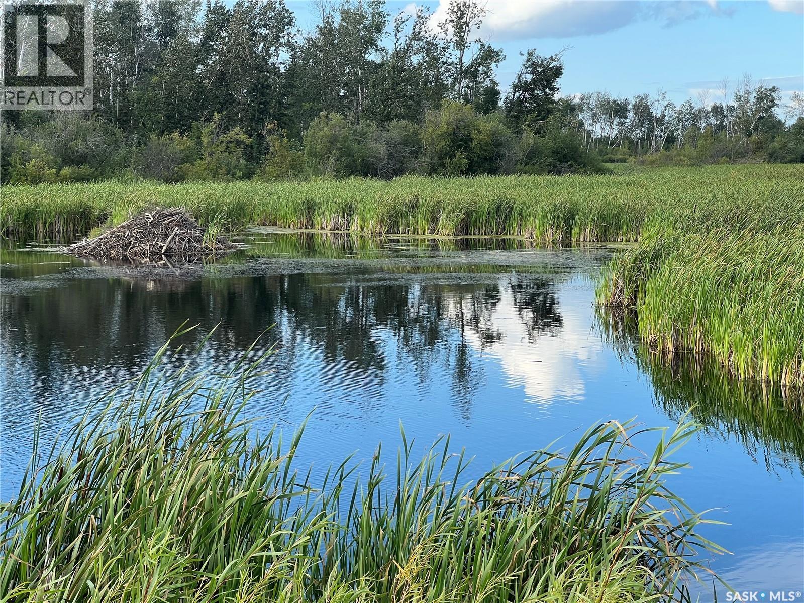 Serhan Acreage, Porcupine Rm No. 395, Saskatchewan  S0E 1H0 - Photo 27 - SK033717