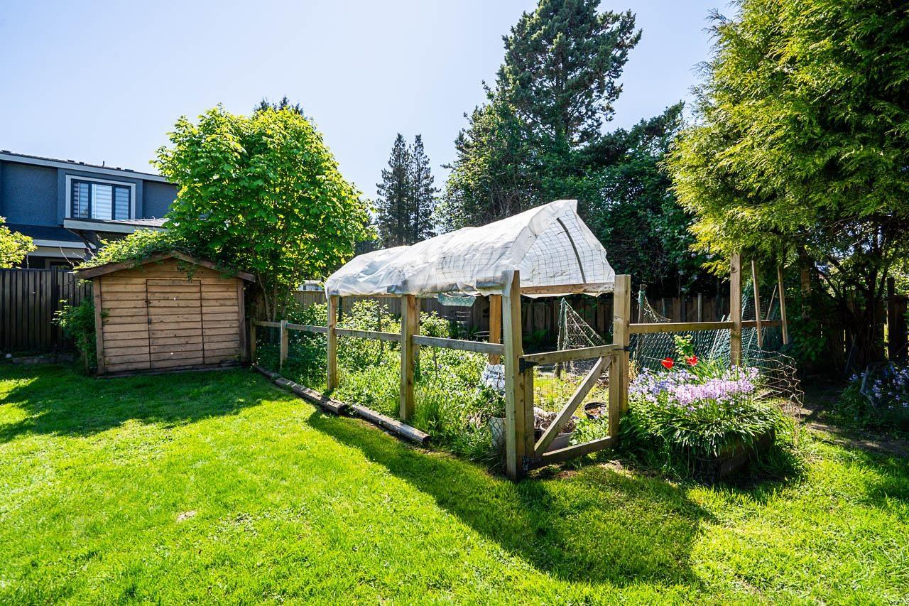 11132 Pitman Place, Delta, British Columbia  V4C 7K7 - Photo 29 - R3146832