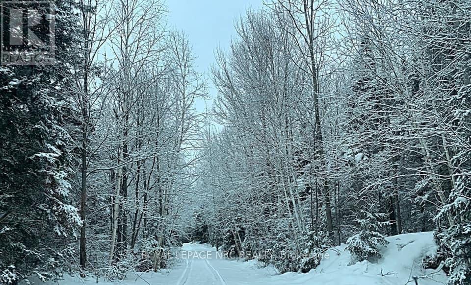 131 Highway 575 Road, West Nipissing, Ontario  P0M 2M0 - Photo 17 - X13680116