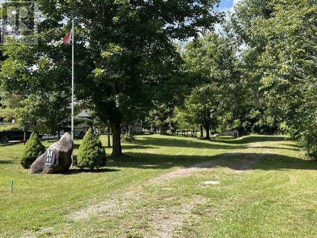 82 Mary Street, Clearview, Ontario  L0M 1G0 - Photo 3 - S13680136