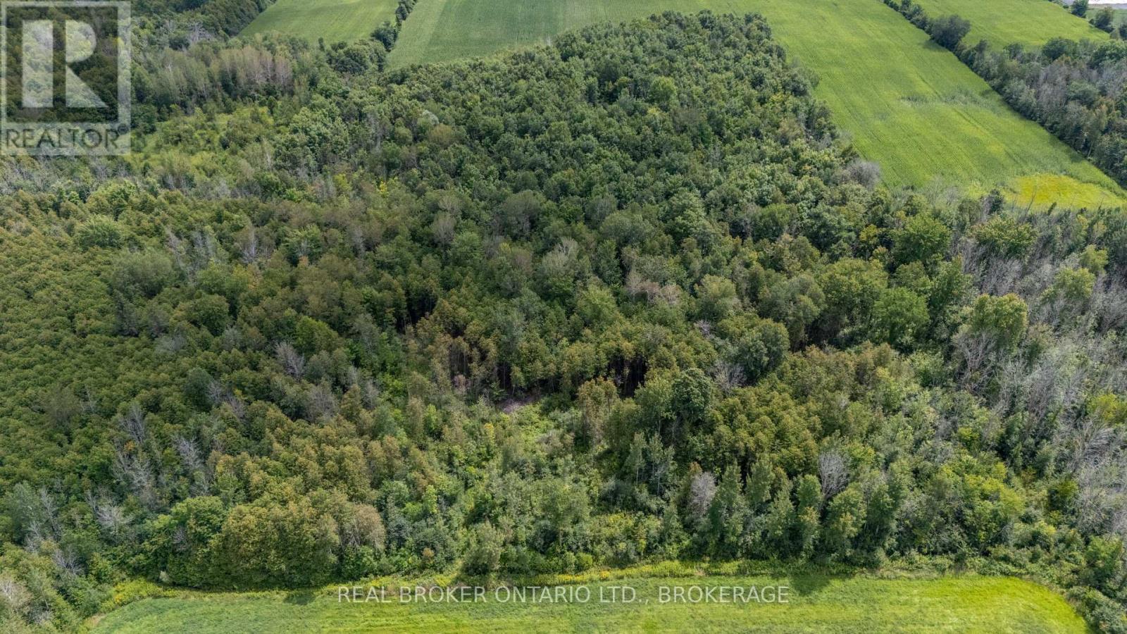 16610 Sixth Line, North Stormont, Ontario  K7S 3G7 - Photo 37 - X13680316