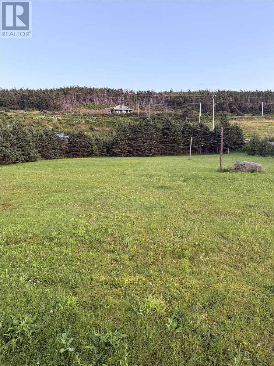 0 Cape Shore Highway, Branch, Newfoundland & Labrador  A0B 1E0 - Photo 6 - 1301710