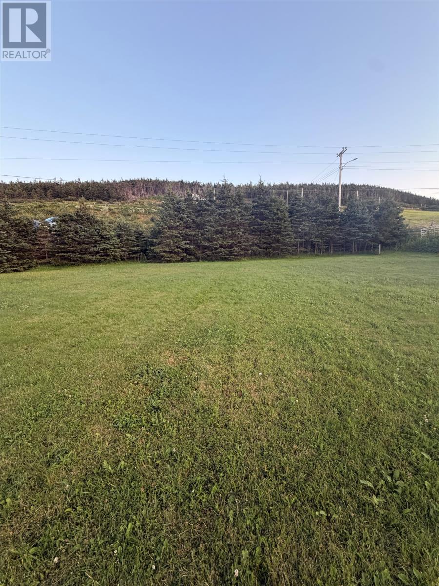 0 Cape Shore Highway, Branch, Newfoundland & Labrador  A0B 1E0 - Photo 5 - 1301710
