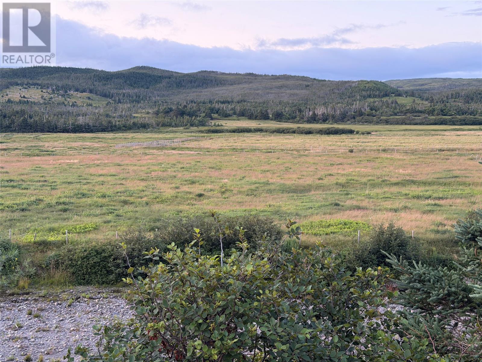 0 Cape Shore Highway, Branch, Newfoundland & Labrador  A0B 1E0 - Photo 4 - 1301710