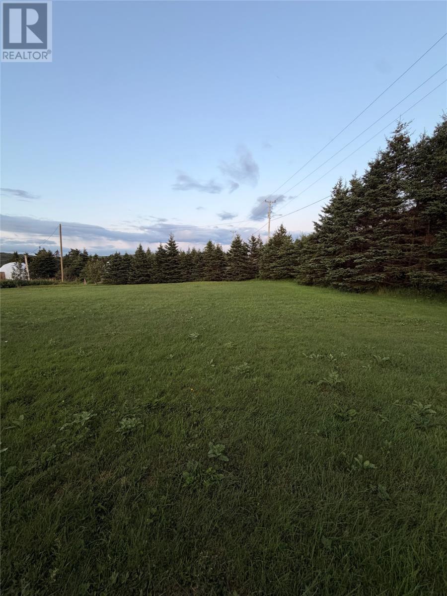 0 Cape Shore Highway, Branch, Newfoundland & Labrador  A0B 1E0 - Photo 9 - 1301710