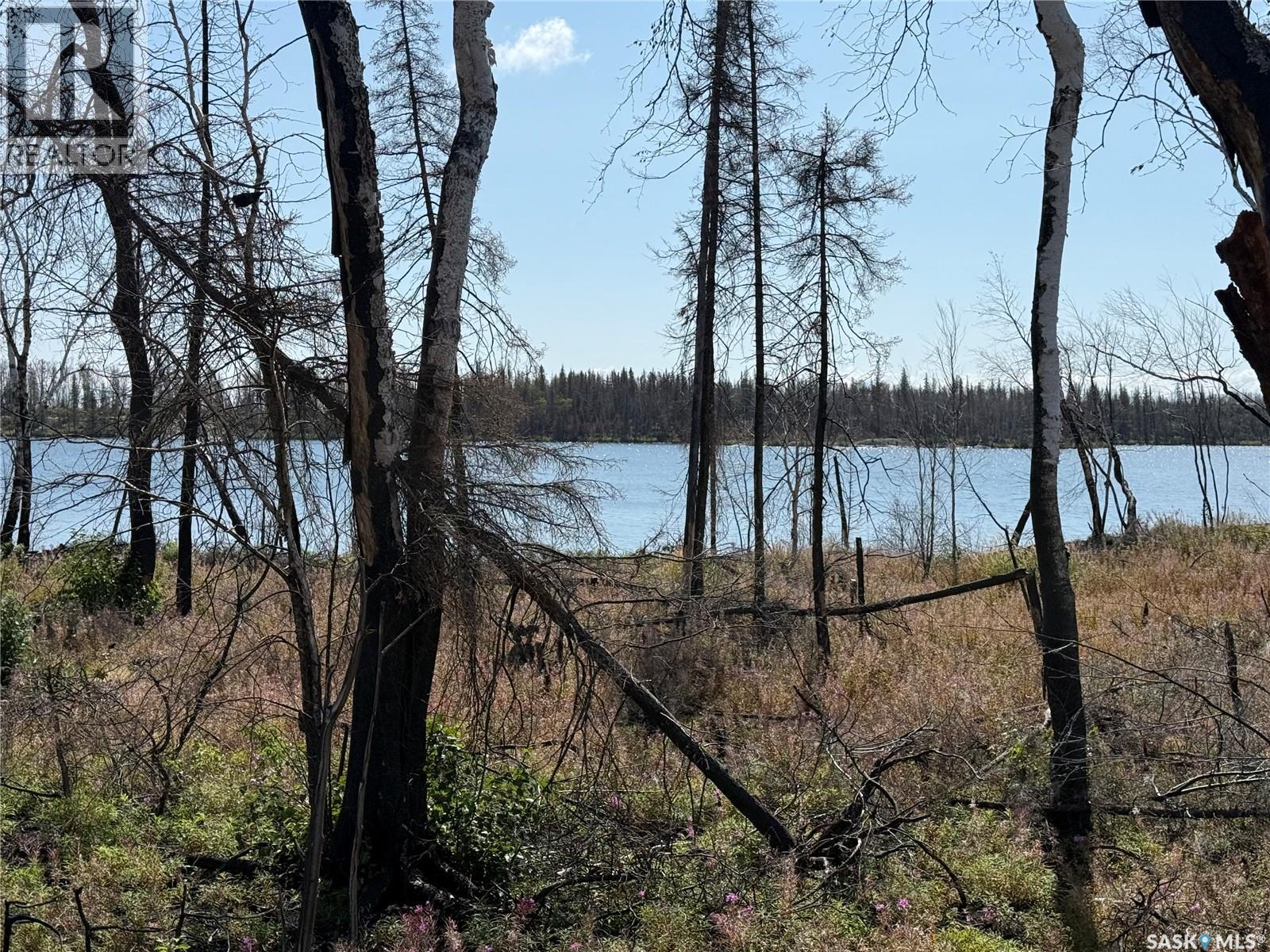 Warburton Island, Lac La Ronge Provincial Park, Saskatchewan  S0J 1L0 - Photo 12 - SK045597