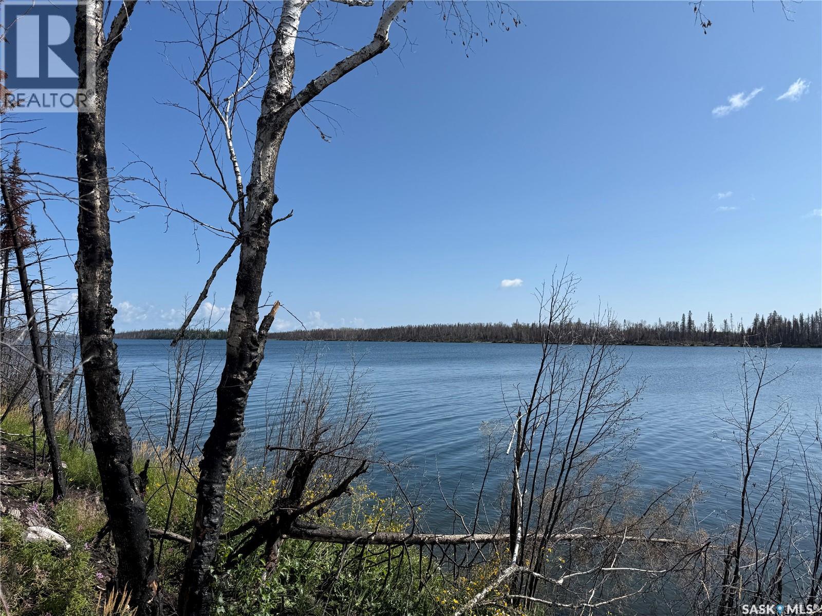 Warburton Island, Lac La Ronge Provincial Park, Saskatchewan  S0J 1L0 - Photo 9 - SK045597
