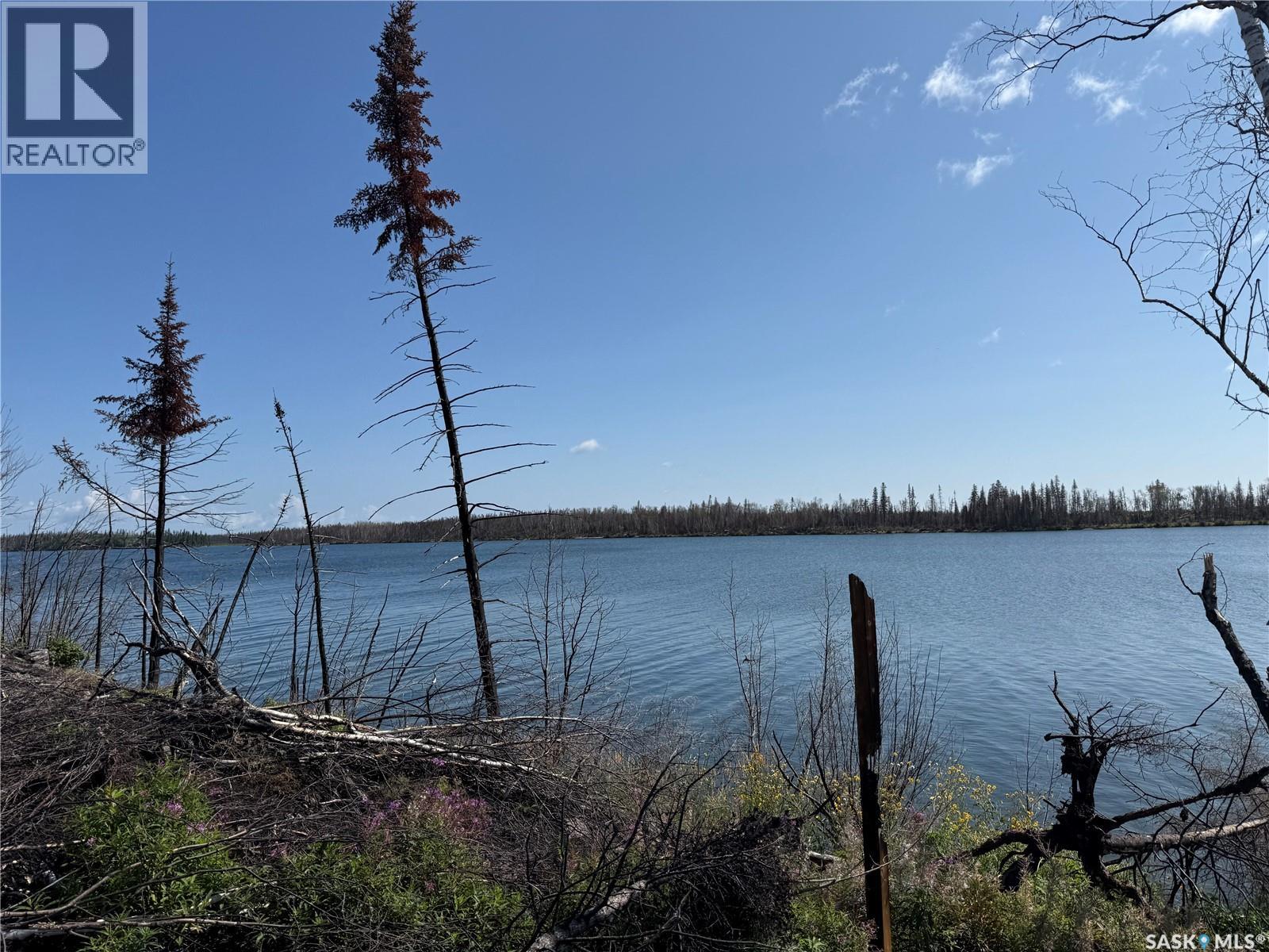 Warburton Island, Lac La Ronge Provincial Park, Saskatchewan  S0J 1L0 - Photo 10 - SK045597