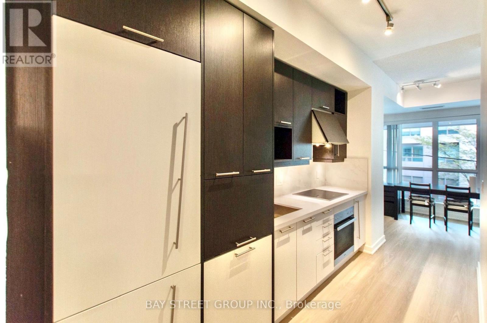 203 - 199 Richmond Street W, Toronto, Ontario  M5V 0H4 - Photo 19 - C13680386