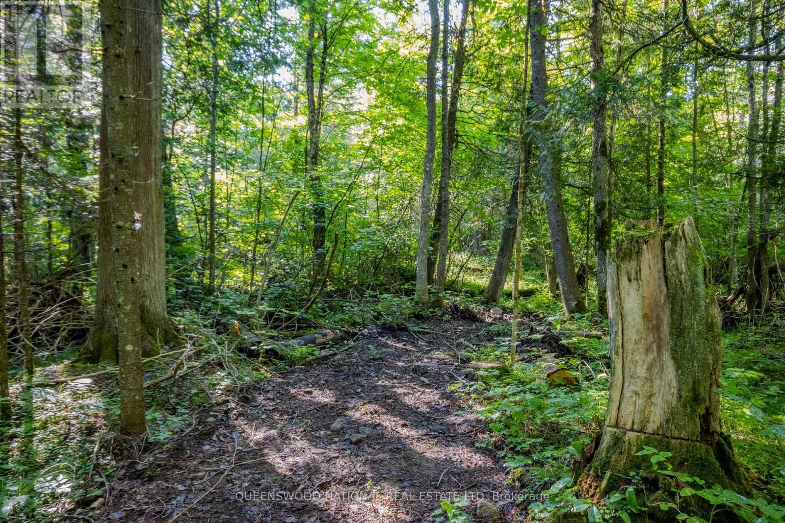 688 Prince Road E, Madawaska Valley, Ontario  K0J 2N0 - Photo 11 - X13680520