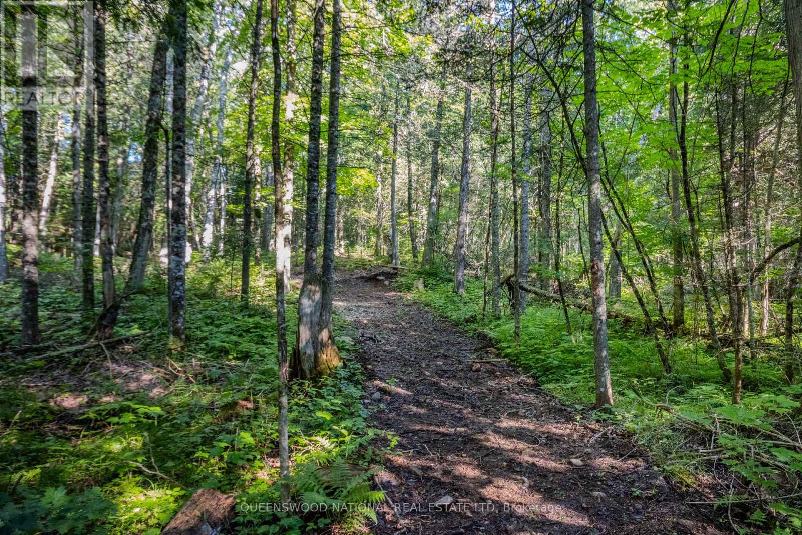 688 Prince Road E, Madawaska Valley, Ontario  K0J 2N0 - Photo 12 - X13680520