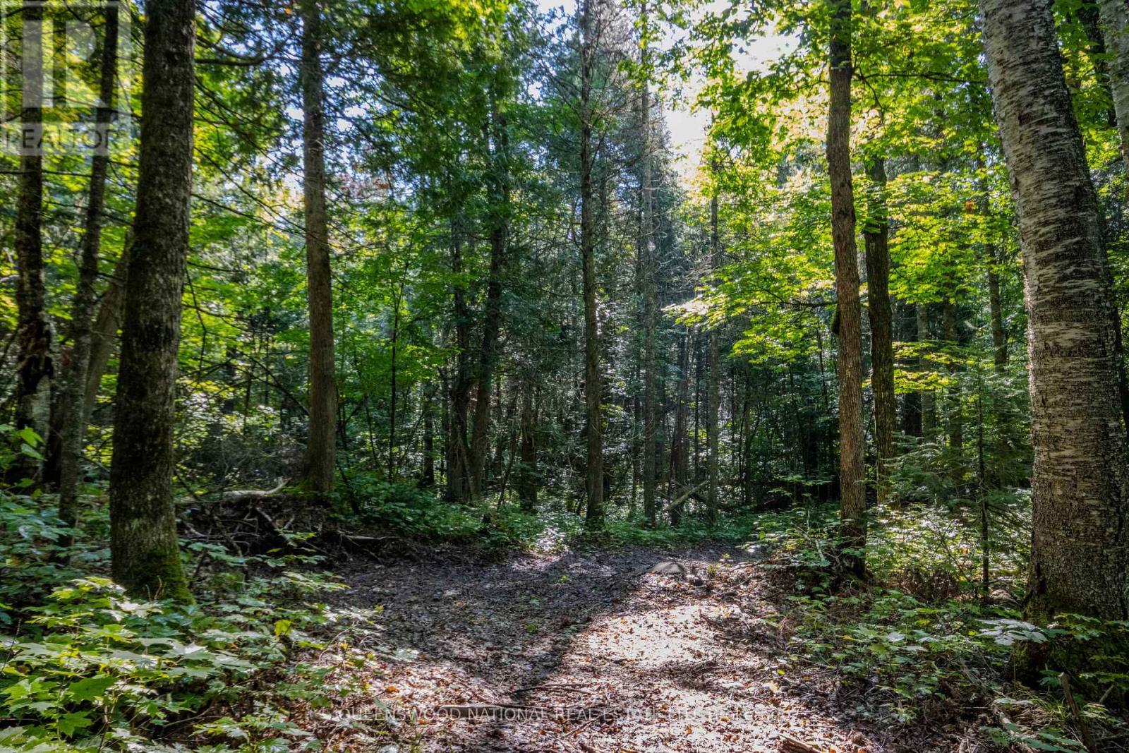 688 Prince Road E, Madawaska Valley, Ontario  K0J 2N0 - Photo 13 - X13680520
