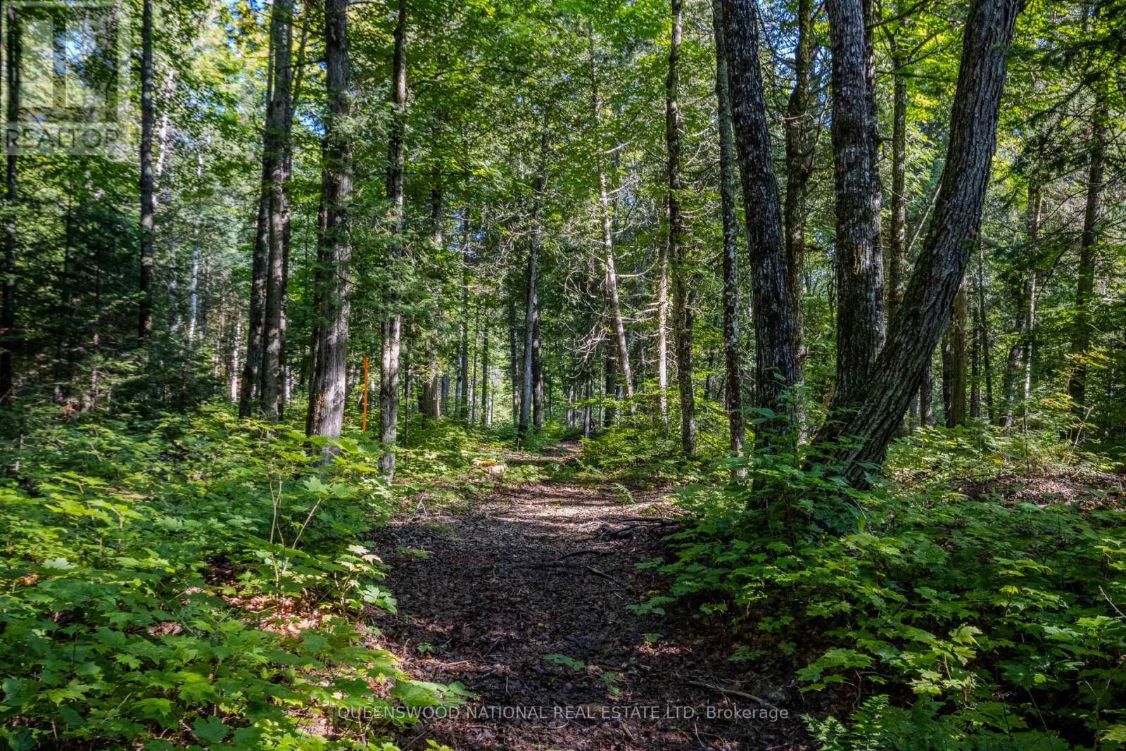688 Prince Road E, Madawaska Valley, Ontario  K0J 2N0 - Photo 14 - X13680520