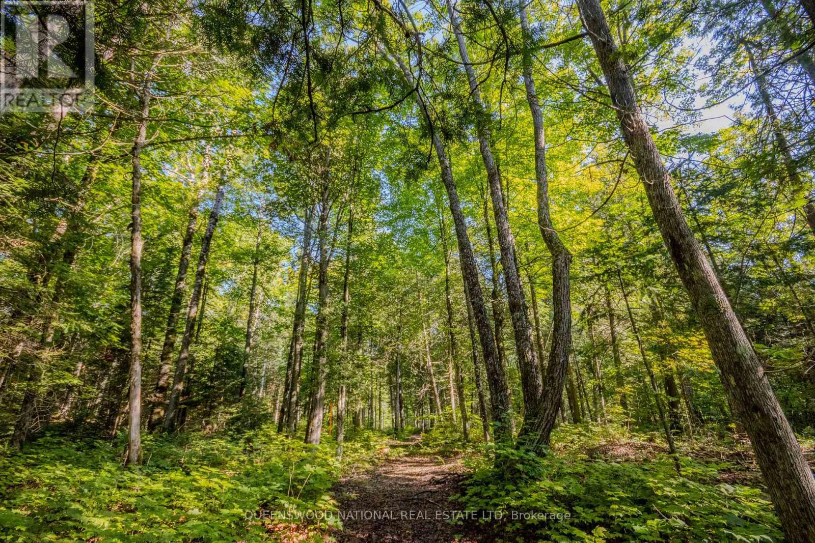 688 Prince Road E, Madawaska Valley, Ontario  K0J 2N0 - Photo 15 - X13680520