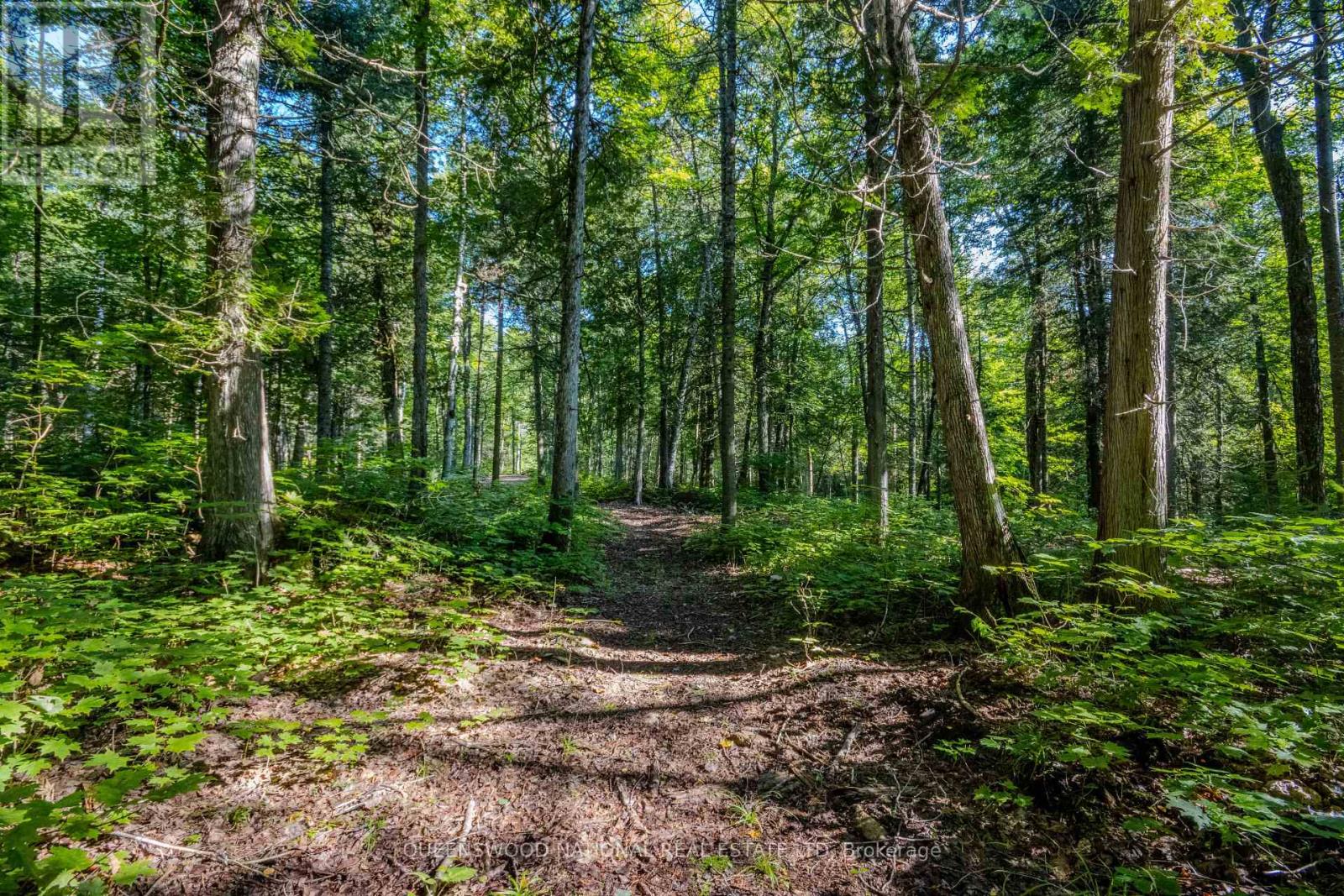 688 Prince Road E, Madawaska Valley, Ontario  K0J 2N0 - Photo 16 - X13680520