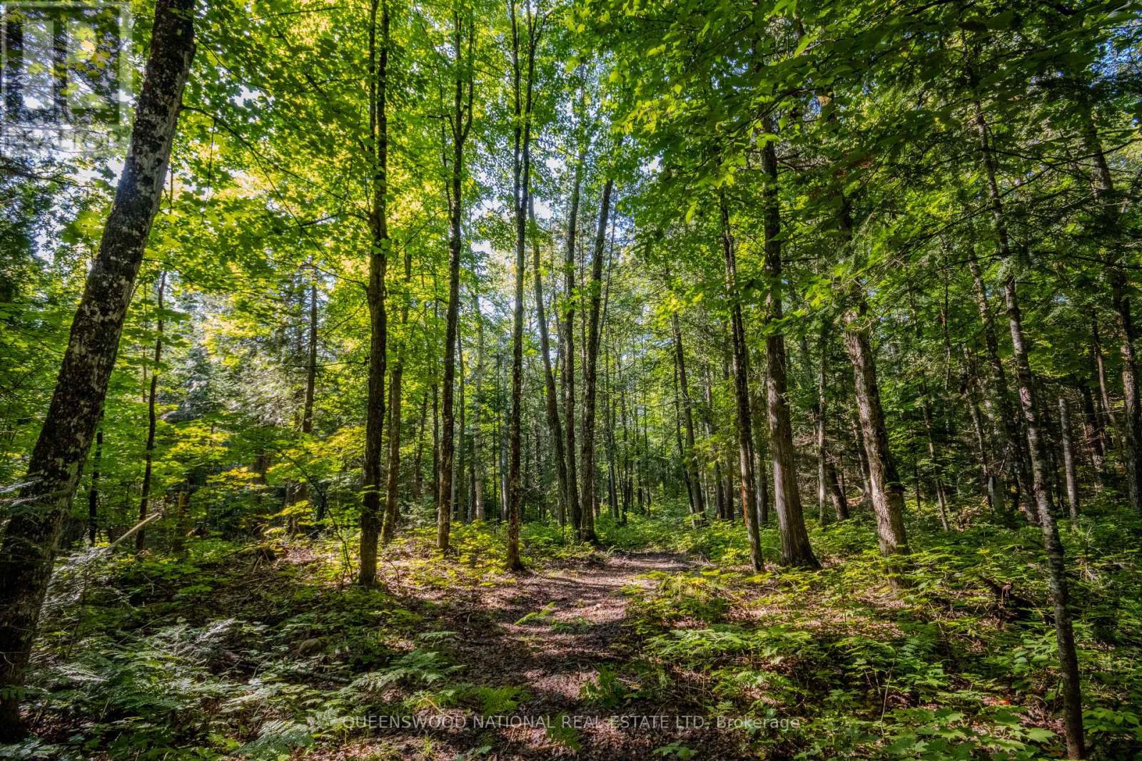688 Prince Road E, Madawaska Valley, Ontario  K0J 2N0 - Photo 18 - X13680520