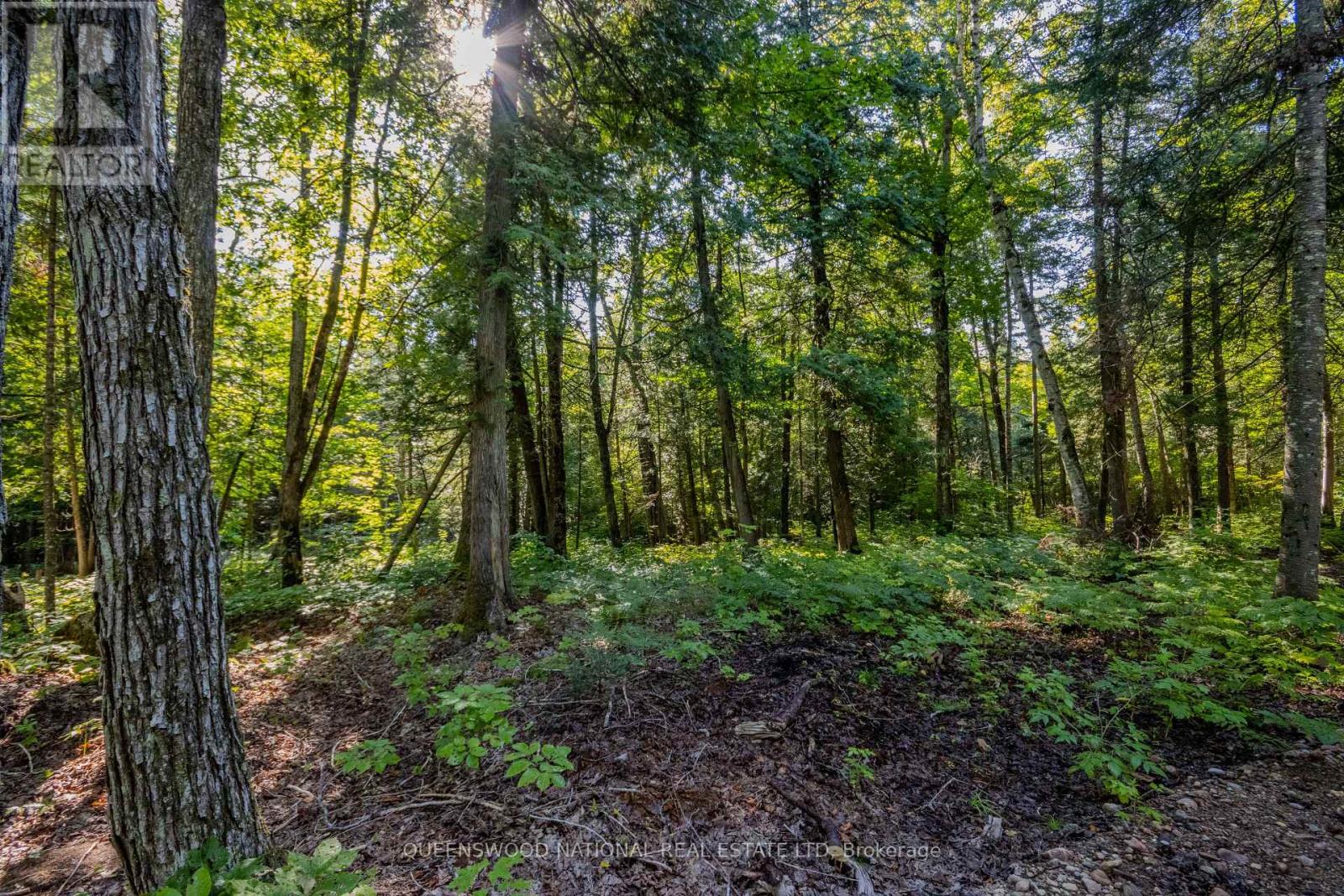 688 Prince Road E, Madawaska Valley, Ontario  K0J 2N0 - Photo 20 - X13680520