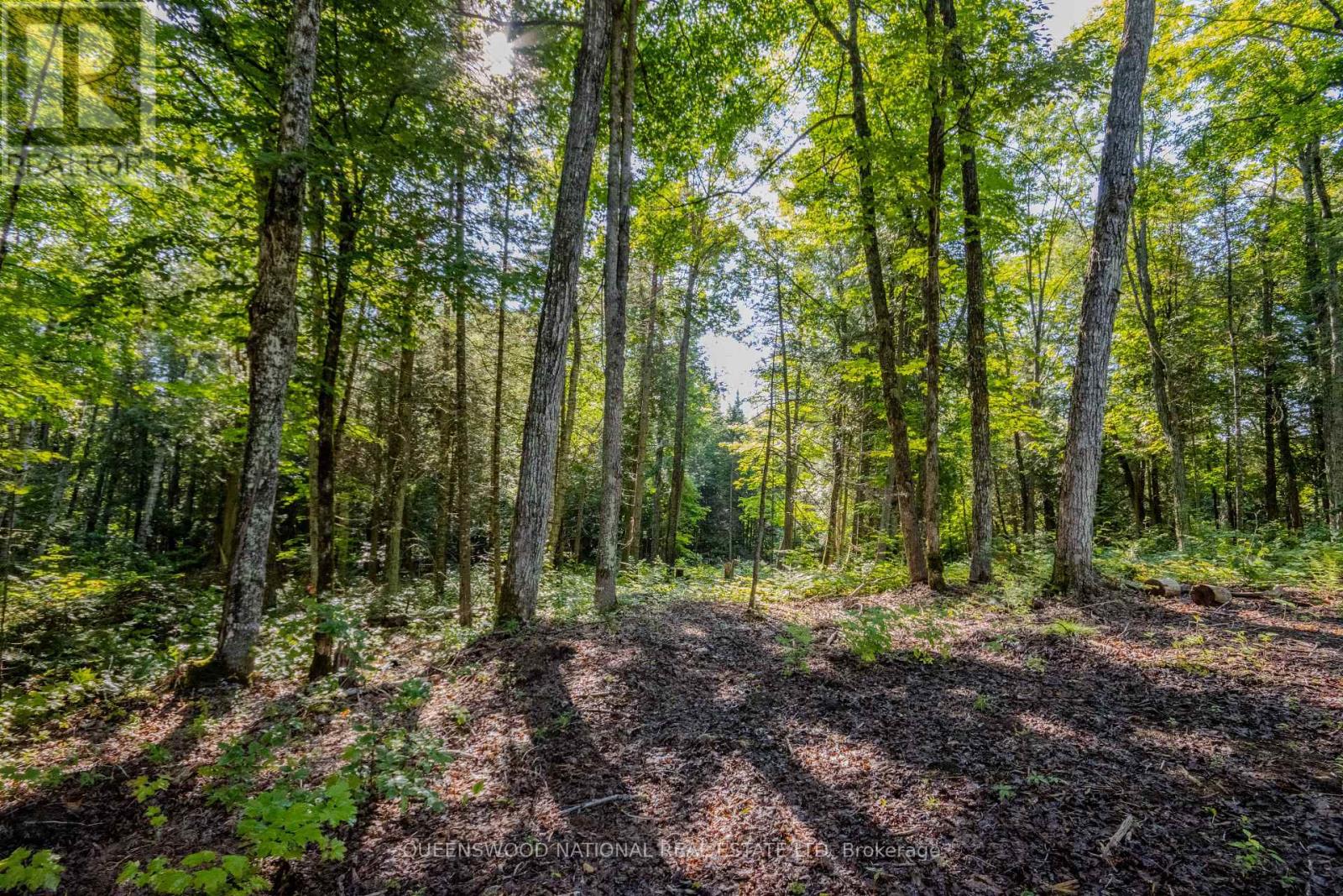 688 Prince Road E, Madawaska Valley, Ontario  K0J 2N0 - Photo 21 - X13680520
