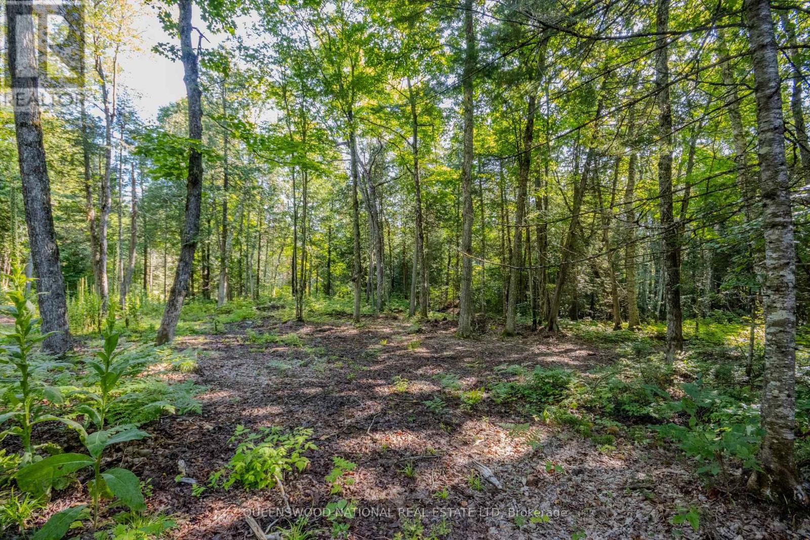 688 Prince Road E, Madawaska Valley, Ontario  K0J 2N0 - Photo 22 - X13680520