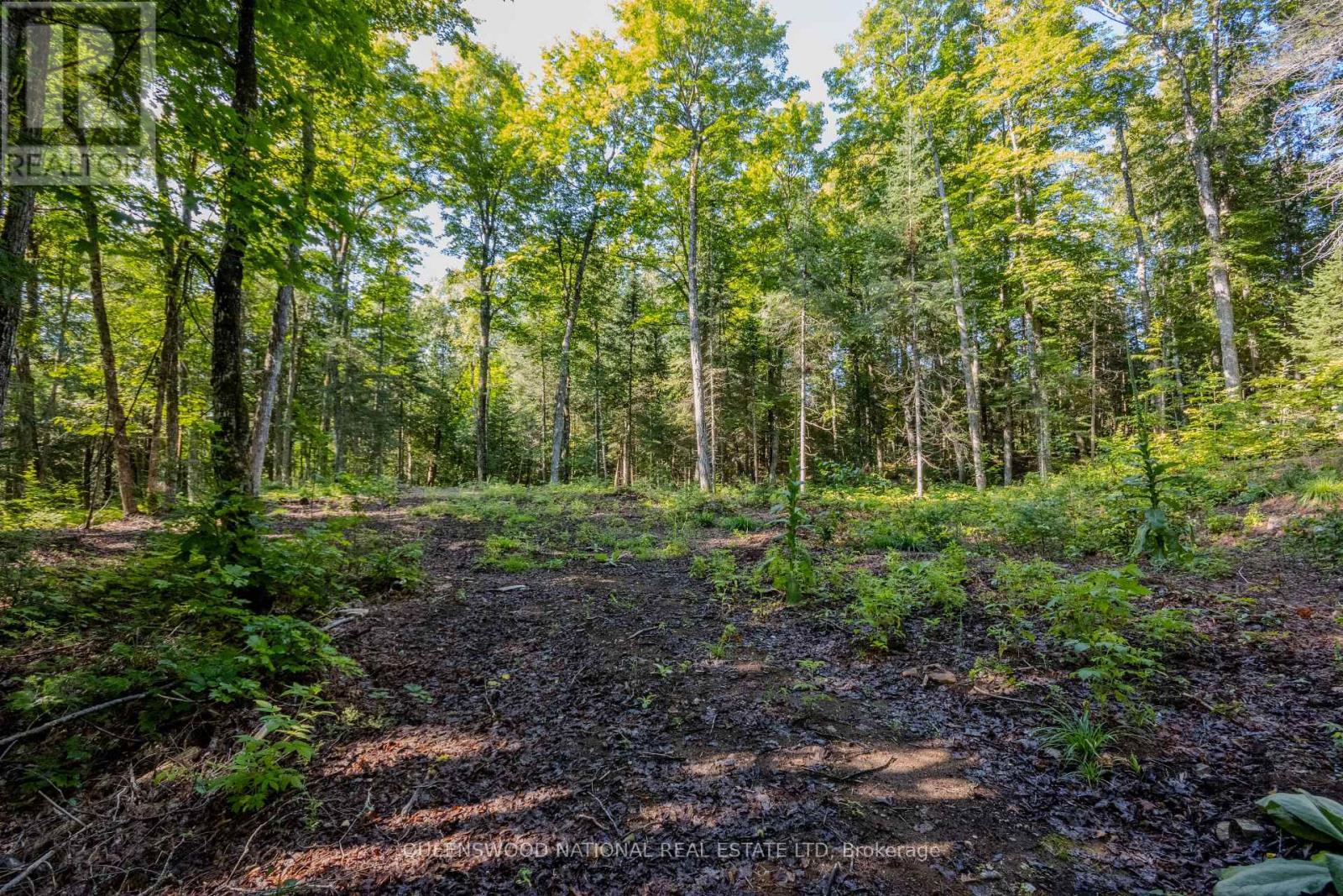 688 Prince Road E, Madawaska Valley, Ontario  K0J 2N0 - Photo 23 - X13680520