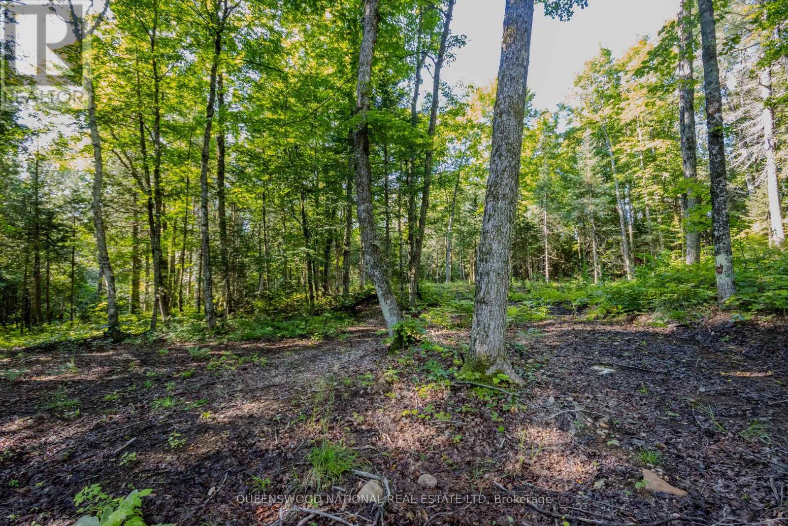 688 Prince Road E, Madawaska Valley, Ontario  K0J 2N0 - Photo 25 - X13680520