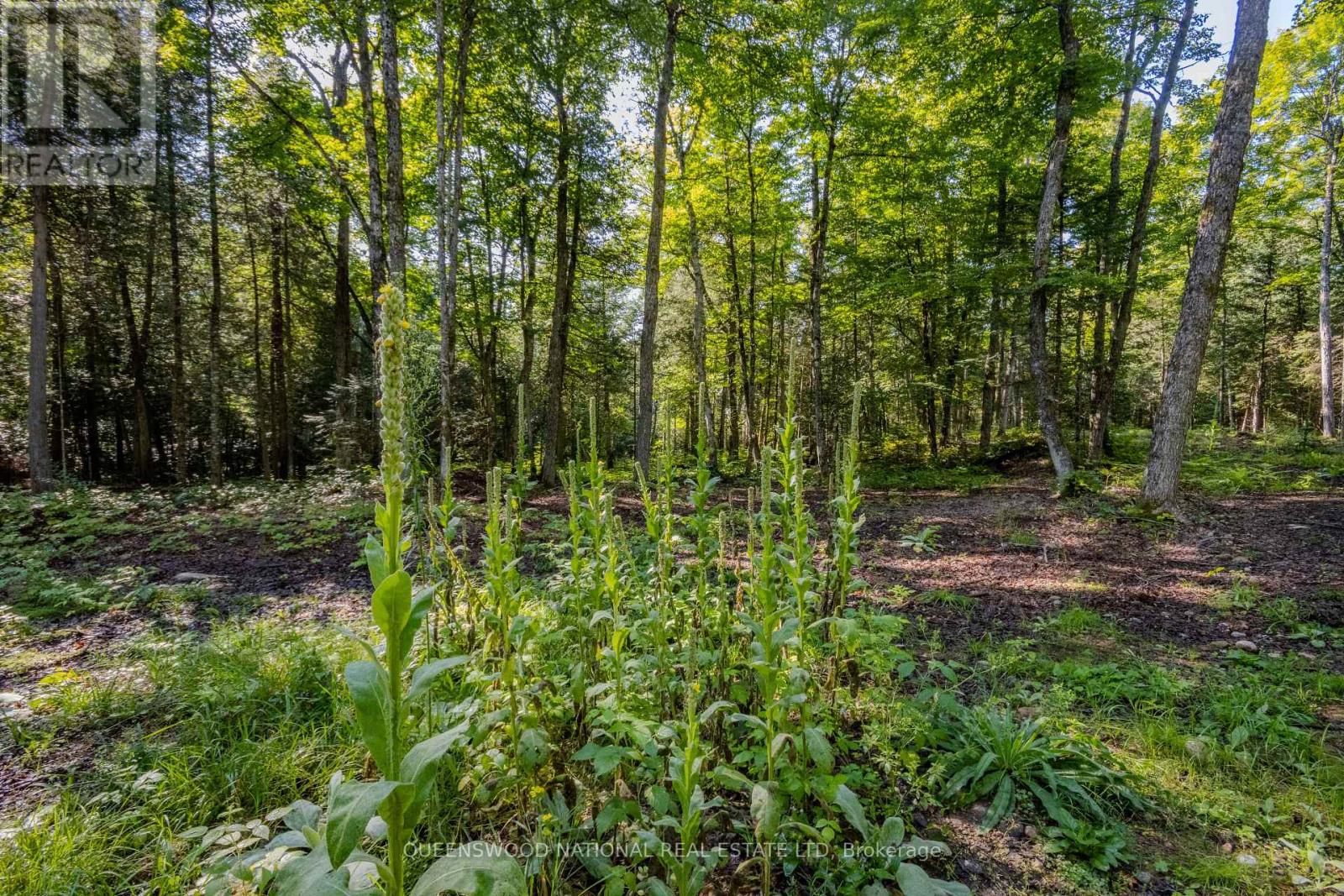 688 Prince Road E, Madawaska Valley, Ontario  K0J 2N0 - Photo 26 - X13680520