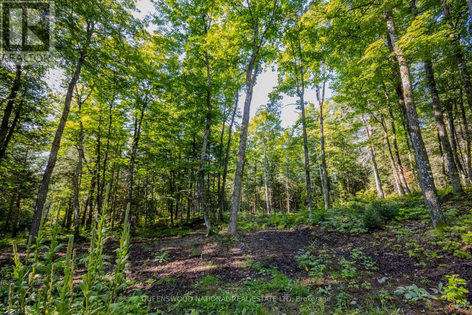 688 Prince Road E, Madawaska Valley, Ontario  K0J 2N0 - Photo 28 - X13680520
