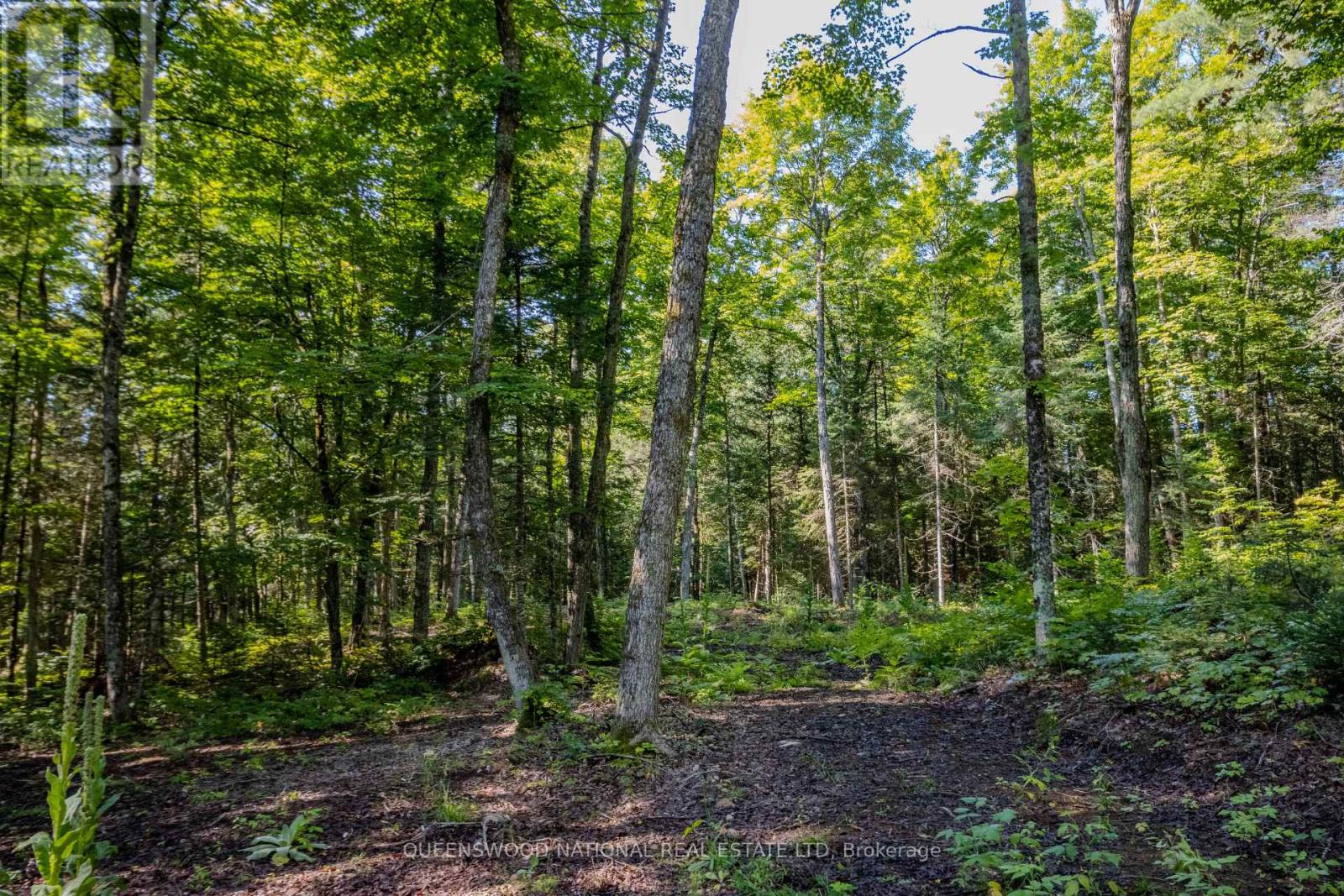 688 Prince Road E, Madawaska Valley, Ontario  K0J 2N0 - Photo 30 - X13680520