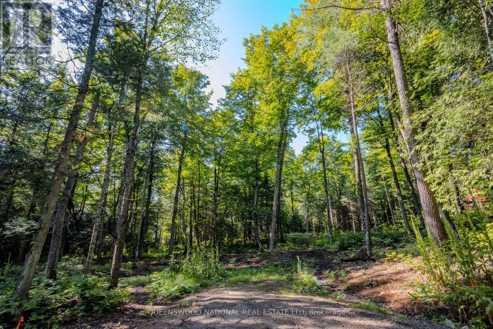 688 Prince Road E, Madawaska Valley, Ontario  K0J 2N0 - Photo 32 - X13680520