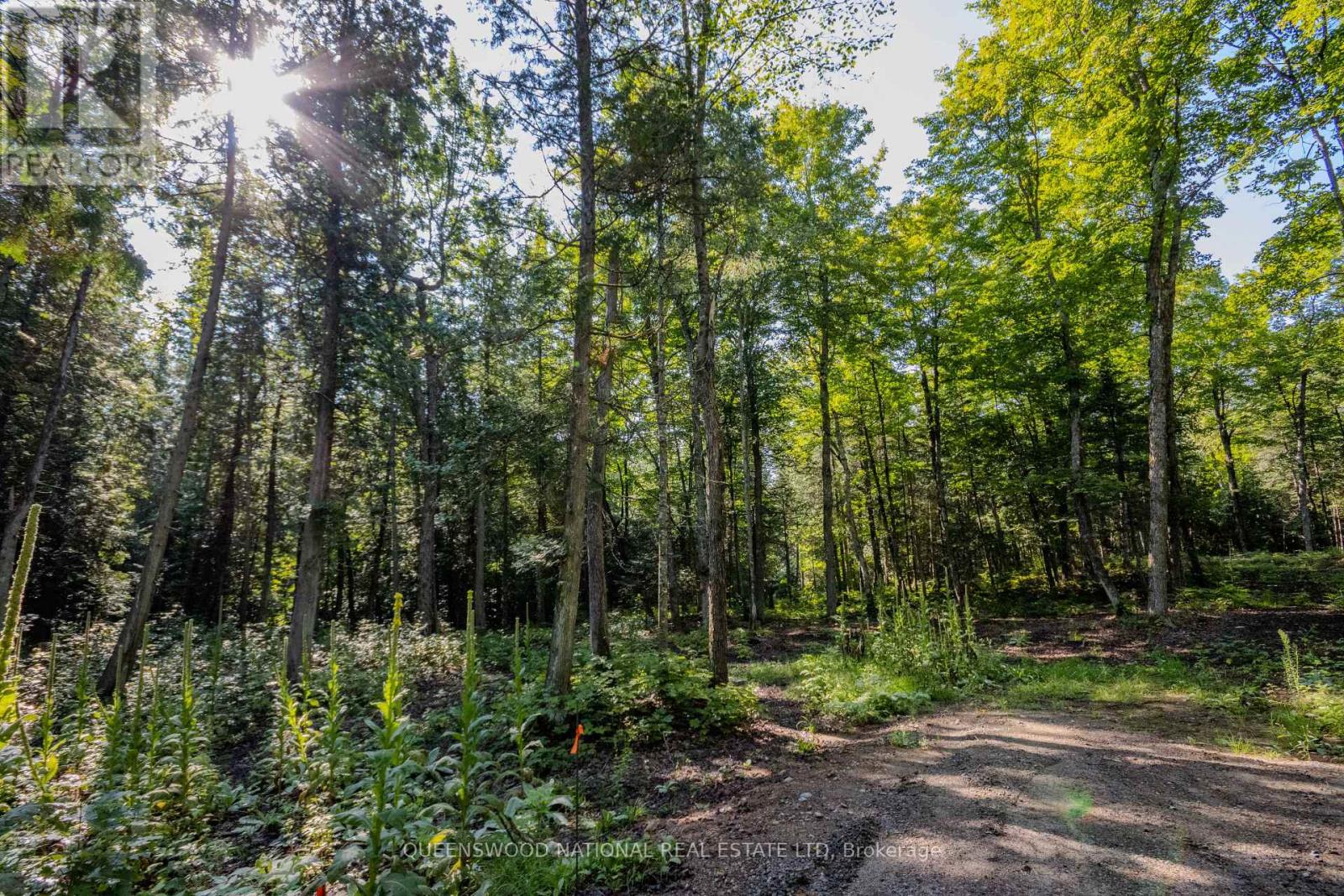 688 Prince Road E, Madawaska Valley, Ontario  K0J 2N0 - Photo 34 - X13680520