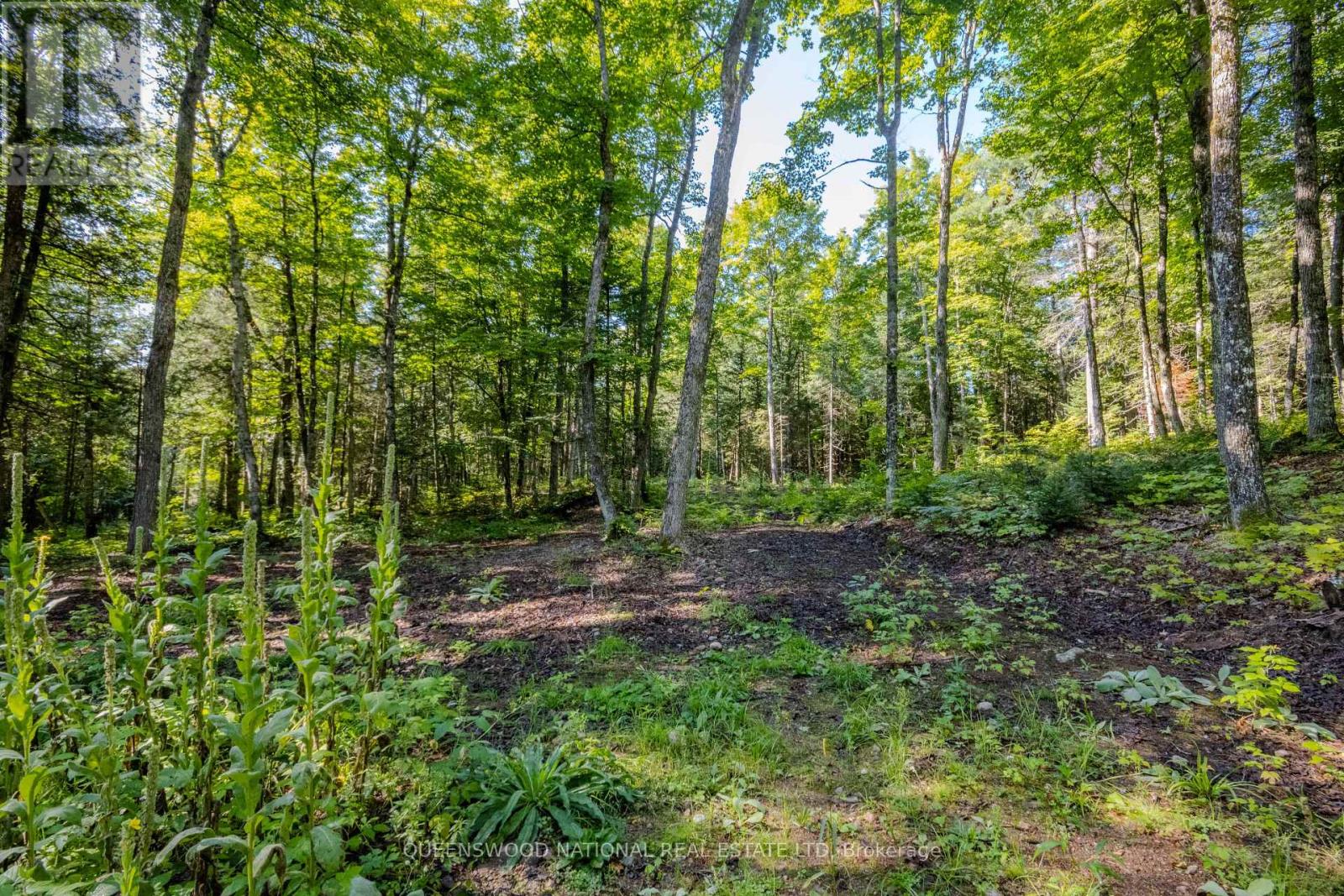 688 Prince Road E, Madawaska Valley, Ontario  K0J 2N0 - Photo 36 - X13680520