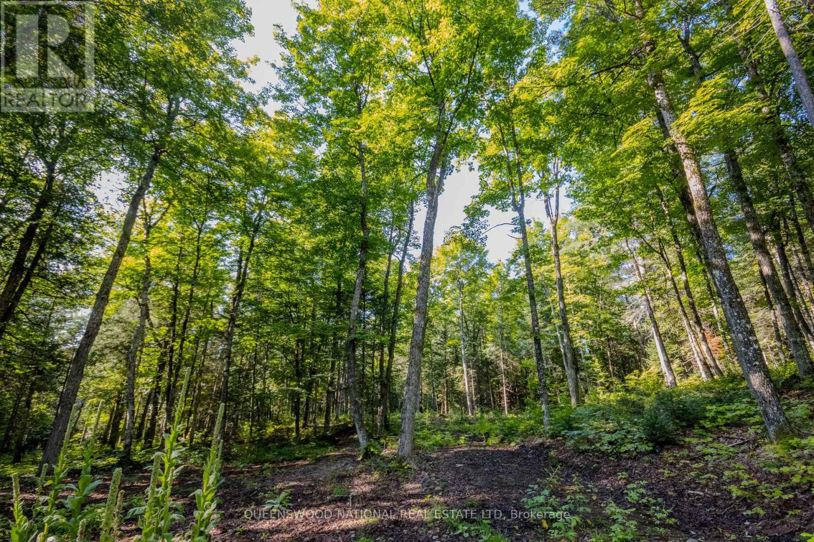 688 Prince Road E, Madawaska Valley, Ontario  K0J 2N0 - Photo 37 - X13680520