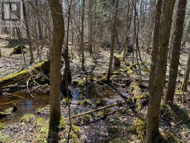 688 Prince Road E, Madawaska Valley, Ontario  K0J 2N0 - Photo 38 - X13680520