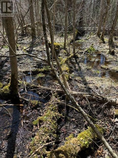 688 Prince Road E, Madawaska Valley, Ontario  K0J 2N0 - Photo 39 - X13680520