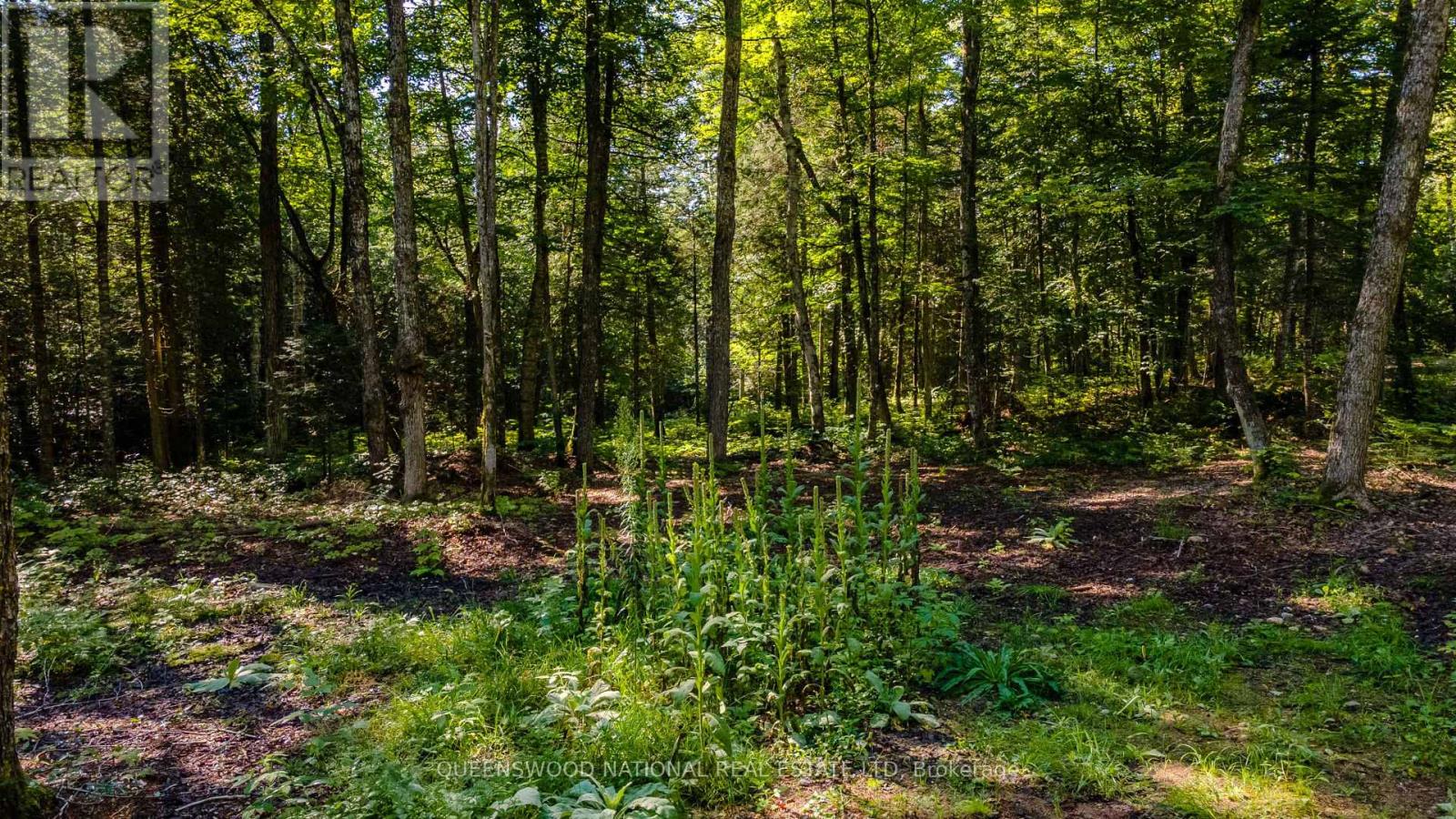688 Prince Road E, Madawaska Valley, Ontario K0J 2N0 - Photo 4 - X13680520