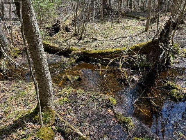 688 Prince Road E, Madawaska Valley, Ontario  K0J 2N0 - Photo 40 - X13680520