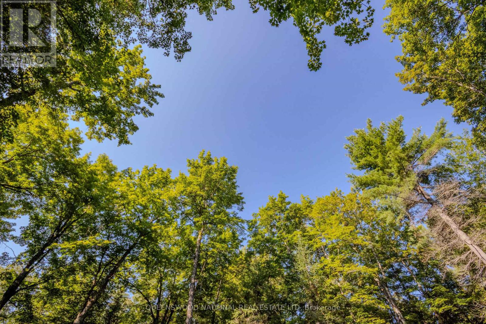 688 Prince Road E, Madawaska Valley, Ontario  K0J 2N0 - Photo 43 - X13680520
