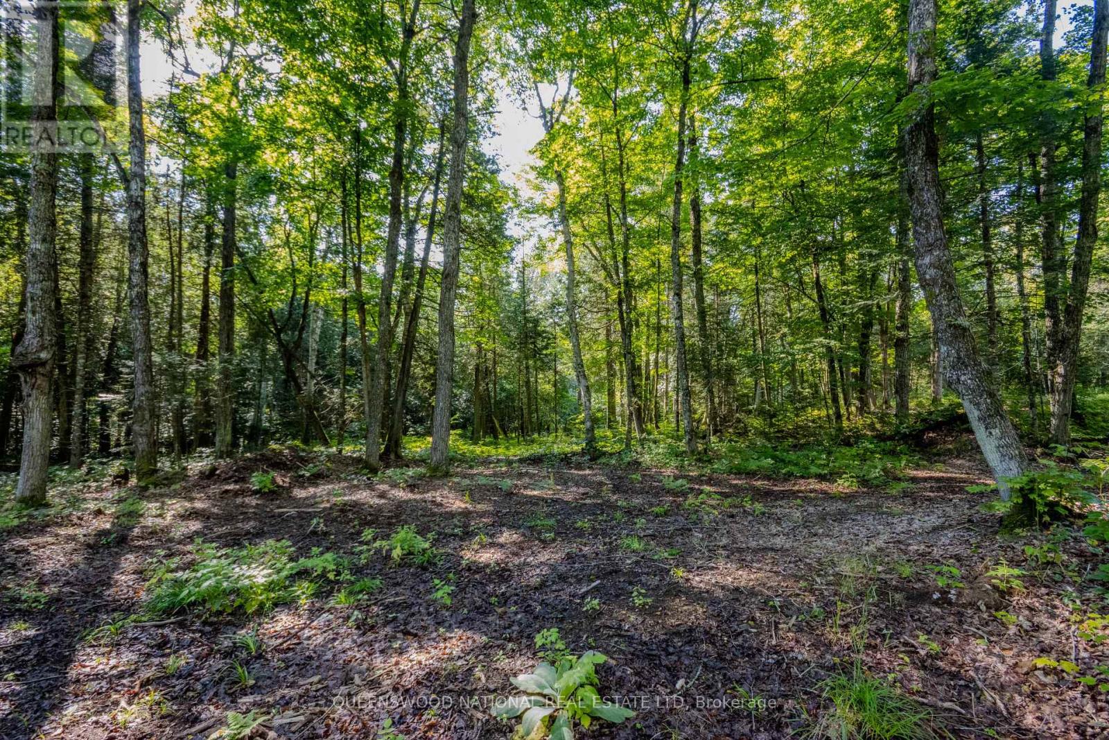 688 Prince Road E, Madawaska Valley, Ontario  K0J 2N0 - Photo 44 - X13680520