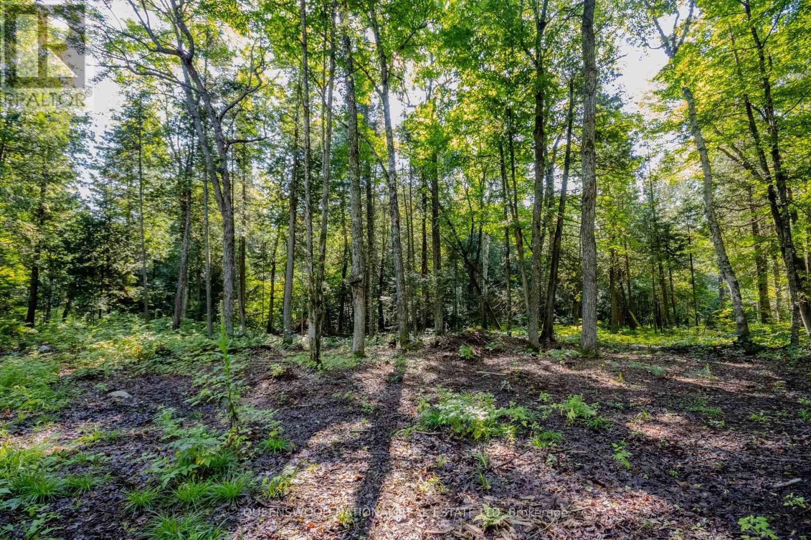 688 Prince Road E, Madawaska Valley, Ontario  K0J 2N0 - Photo 45 - X13680520