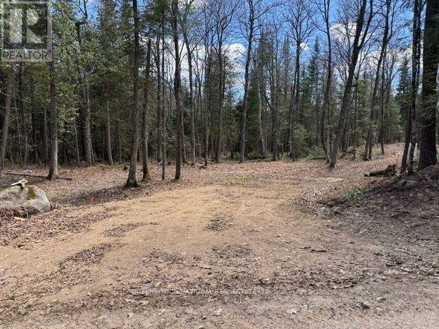 688 Prince Road E, Madawaska Valley, Ontario  K0J 2N0 - Photo 48 - X13680520