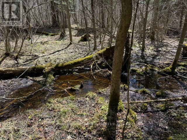 688 Prince Road E, Madawaska Valley, Ontario K0J 2N0 - Photo 5 - X13680520
