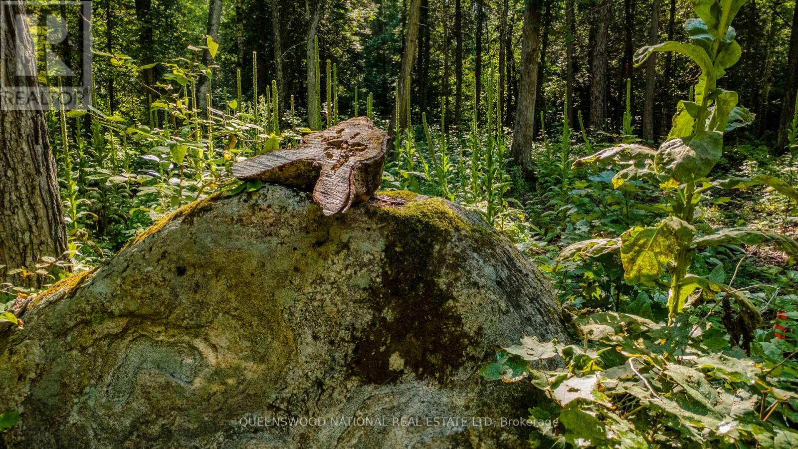 688 Prince Road E, Madawaska Valley, Ontario K0J 2N0 - Photo 6 - X13680520